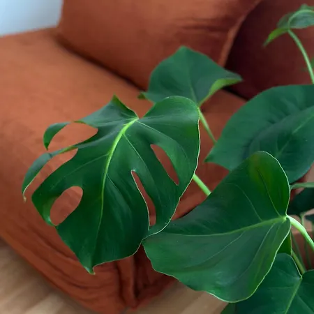 Апартаменты Brique