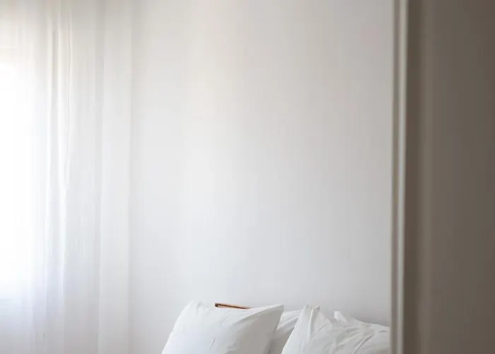 Brique * メストレ